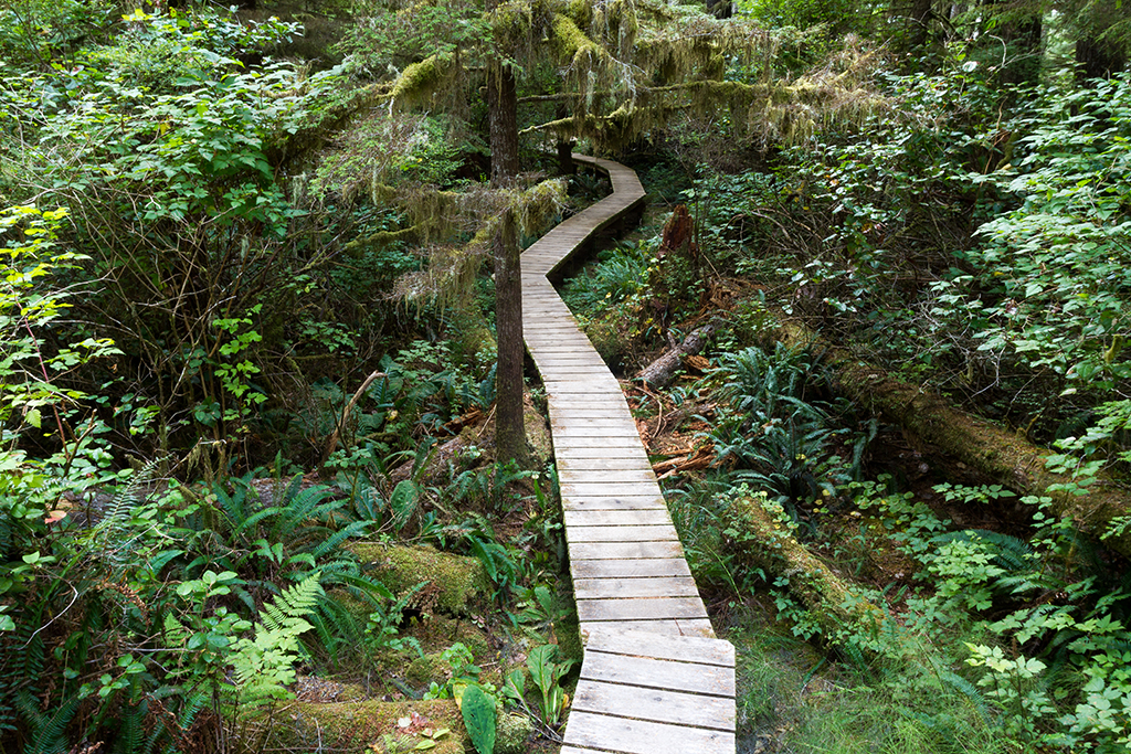 09-19 - 07.jpg - Pacific Rim National Park, Vancouver Island, BC